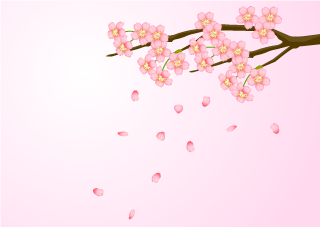 花びら散る桜