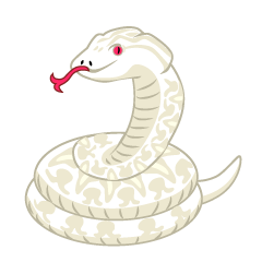 金模様の白蛇