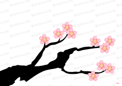 桜の木の壁紙