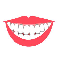 笑顔の口の歯