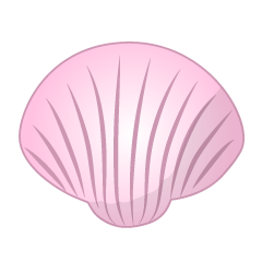 桜色の貝殻
