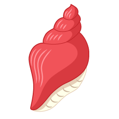 赤色巻貝の貝殻